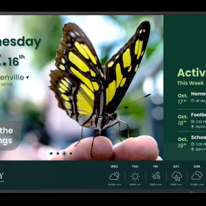 Pantalla de Publicidad Digital
